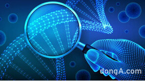 “구충제 다음은 줄기세포”… 대웅제약, ‘줄기세포 코로나19 치료제’ 임상 1상 개시