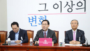 김종인 “종부세 강화? 세금 기본논리 모르고 하는 소리”