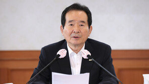 黨政, 다주택자에 취득세 중과 검토