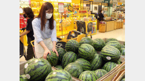 이마트, 장마철 ‘과일 당도 사수’ 프로젝트