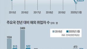 해외취업 문 닫히자 유학생 ‘U턴’… 국내 취준생 한숨 더 늘어