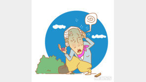 대구 실종 치매 할머니, 261명 동원해 찾았다