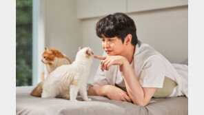 후시펫X보령컨슈머헬스케어, HOOXI PET 고양이 영양제 8월 출시