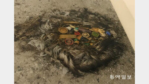 세계적 환경사진작가 크리스 조던 특별전