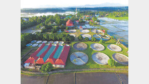 국내 최대 장어양식장 투자… 다달이 100만원 수익