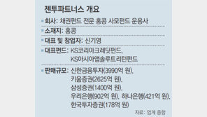 1조원대 사고 내도 조사 못하는 해외 사모펀드