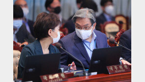 혼돈의 부동산정책