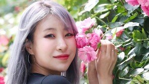 이세영 “내 SNS 해킹, 팔로워에 사기 DM까지…속지 마세요”