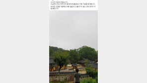 연가 내고 사찰 찾은 추미애, SNS에 “번뇌 끊고” 의미심장 글