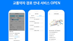 카카오맵 교통약자 위한 도시철도 정보 제공