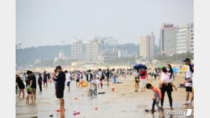 해수욕장서 ‘밤에 가볍게 술한잔’ 했다간 벌금 300만원