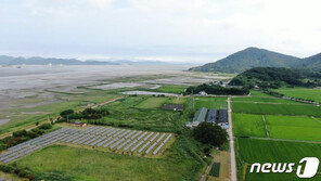 순천만습지 주변 가금농장 2곳 철거… 철새 쉼터 조성