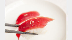 ‘100엔’ 日 회전초밥집, AI 통해 참치 품질 분류