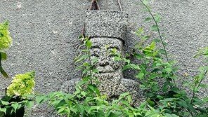 오래된 미소[고양이 눈]