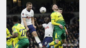 토트넘 다이어, 관중석 난입으로 4경기 출전 정지