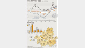 ‘0.06→0.11%’ 서울 아파트값 급발진…규제 오작동