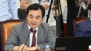 민주당, 당대표 사퇴해도 최고위원은 임기 2년 보장