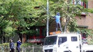 도로변 가로수 가지치기