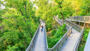 흙길따라 타박타박… 우리집 뒷산이 명산이네