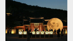 화성행궁 SNS 팔로하면 전통시장 바우처 줍니다