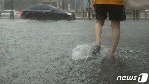 [날씨]주말 흐린 하늘에 장맛비 내렸다 그쳤다 반복