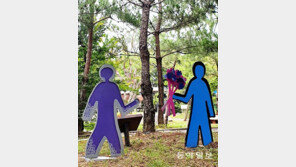 꽃다발[고양이 눈]