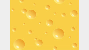 [책의 향기]우리는 지금 ‘가장 맛 없는 치즈’를 먹고 있다