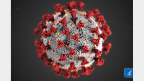 美CDC “코로나19 무증상 감염 40% 추정”