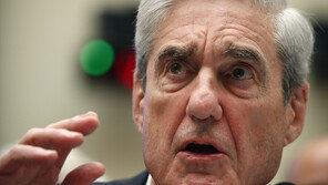 뮬러특검 WP기고문, 트럼프의 로저 스톤 사면 비난