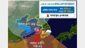 [날씨]정체전선 북상 밤부터 장맛비 전국 확대…남부 시간당 최대 80㎜