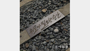 철길의 위로[고양이 눈]