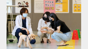 ‘말썽피우는 반려견’ 고민되면 1대1 맞춤 상담 받으세요