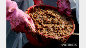 군장병들도 100% 국산콩 장류 공급받는다