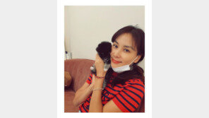 고소영, ‘반려견 입양하라’ 댓글 충고에 남긴 말은?