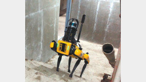 네 발로 걷는 로봇, 건설현장에 국내 최초 도입…임무는?