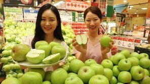 “햇연두사과 맛보세요”