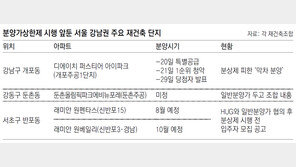 분상제前… 강남권 ‘로또 청약’ 뜬다