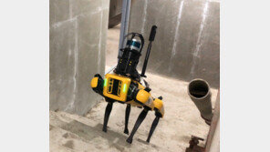 네 발로 걷는 로봇, 건설현장서 일한다