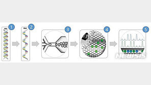 표준연구원, 코로나19 유전자 표준물질 개발 성공…세계 두 번째