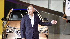 정의선 수석부회장 “2025년 전기차 글로벌 리더 자리매김할 것”