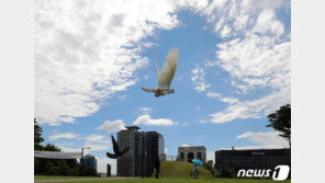 [날씨]15일 낮기온 30도 안팎…전북·경상 일부 소나기