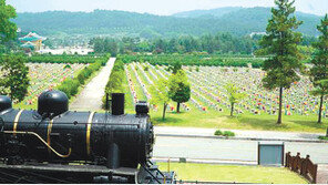 장태산 휴양림, 계족산 황톳길… 사람 대신 ‘대자연’을 마주하다