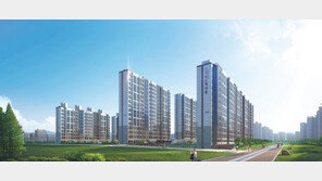 대구 안심뉴타운 첫 분양 아파트