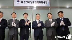 국토부, 강남·송파·용산 일대 부동산 이상 거래 적발…정밀 조사 착수