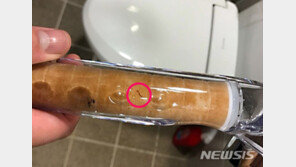 인천 수돗물 유충 민원, 100건 넘었다…“중염소 추가 투입”