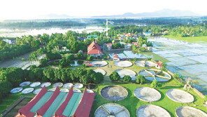 국내 최대 규모 장어양식장… 3000만원 투자로 월 100만원 수익