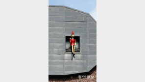 코가 길어질 판[고양이 눈]