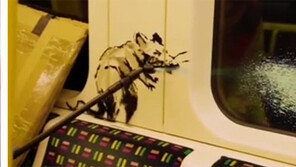 청소부로 깜짝 등장한 ‘얼굴없는 예술가’ 뱅크시