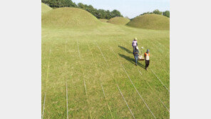 “부여 능산리 왕릉 봉분, 현재 20m보다 5∼10m 더 커”