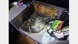 투숙객 수백명 호텔 새벽에 불, 20대 용의자 검거